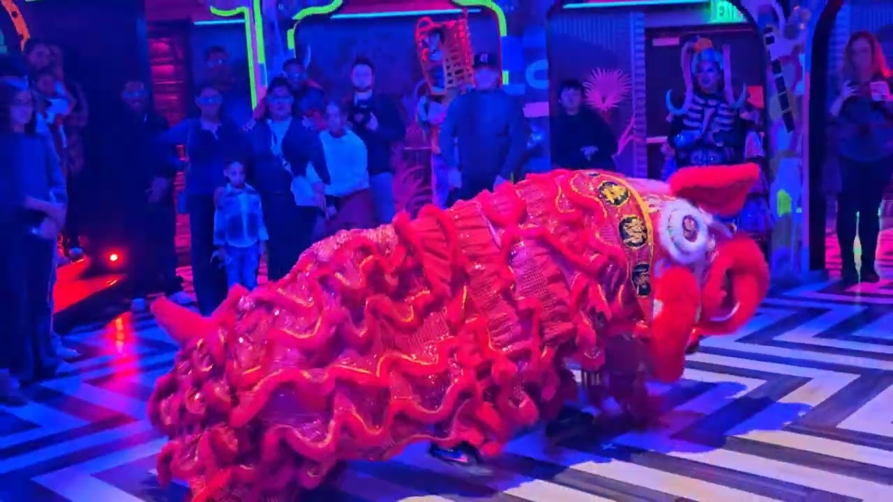 MeowWolf Real Unreal Phenomenomaly