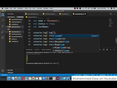 13  JavaScript