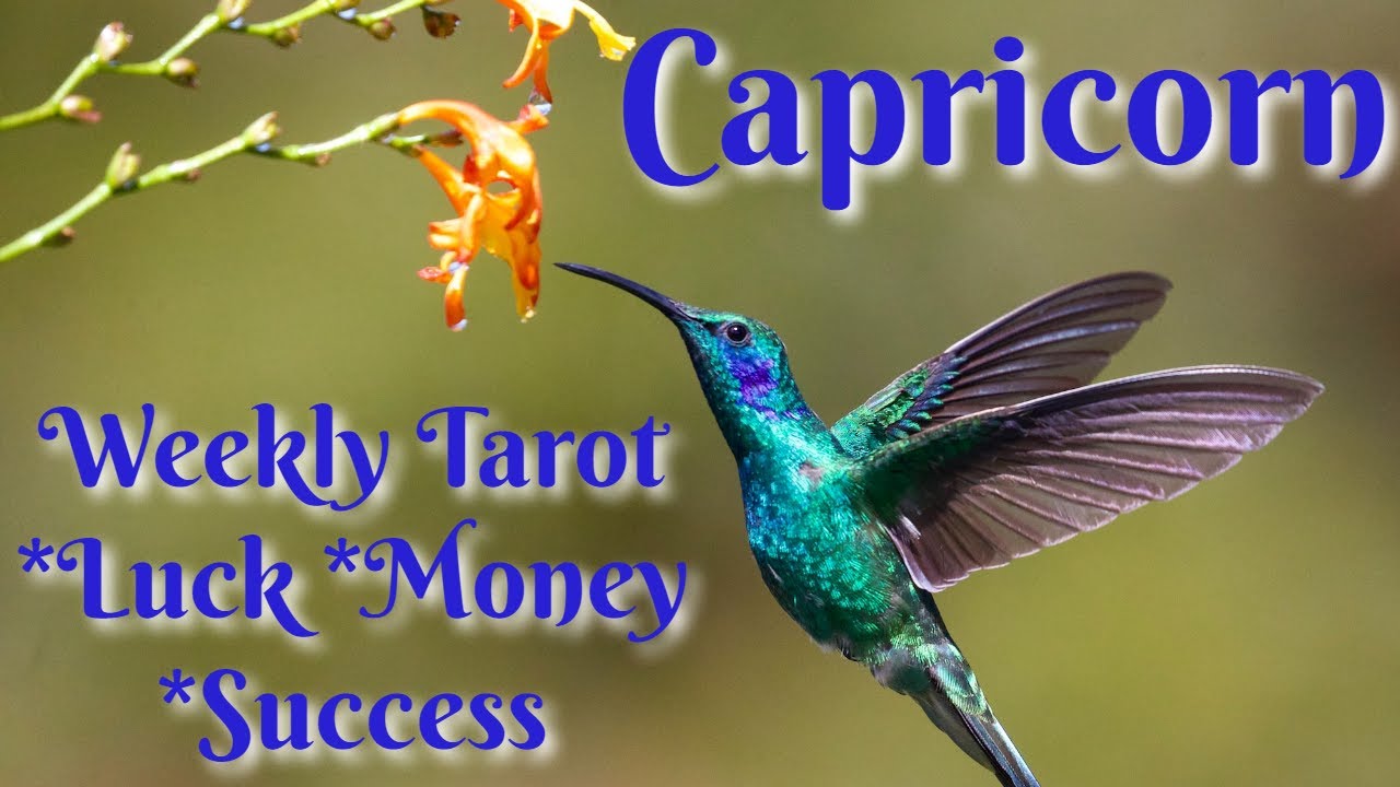 ♑CAPRICORN⭐STILL MUCH MORE, CAPRICORN!⭐LUCK, MONEY & SPIRIT MESSAGES WEEKLY TAROT & ORACLE READING🔮