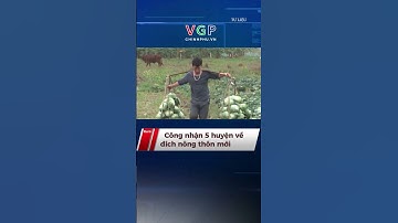 Công nhận 5 huyện về đích nông thôn mới