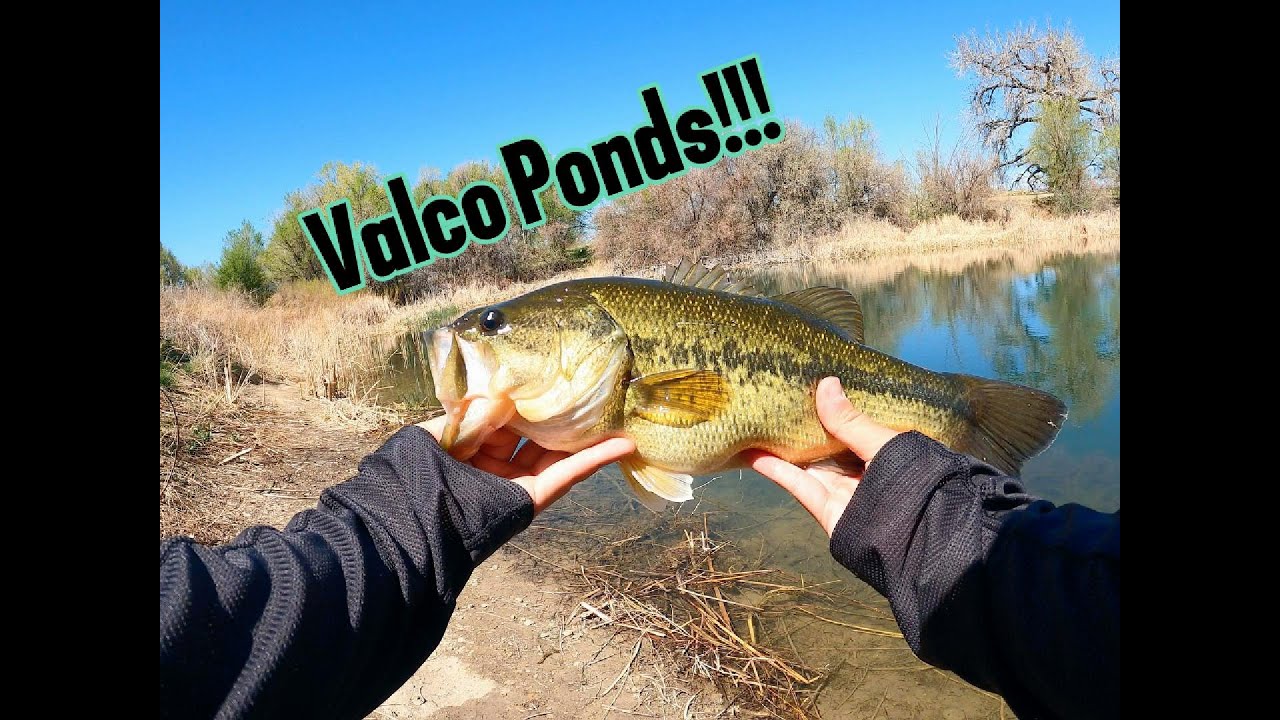 Bass Fishing at Valco Ponds