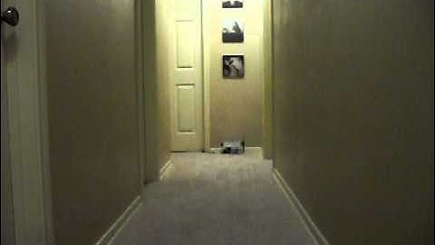 Video Demo of the Wireless DMX Transmitter - Eternal Lighting Company - LED FLatParPro