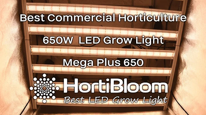 Best Commercial Horticulture LED Grow Light-Mega Plus 650 2.8 Top umol/J from HortiBloom
