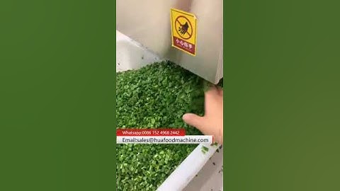 Chinese Chives Chopping Machine Fast Speed Leafy Vegetable Cutter