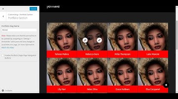 How To Edit Portfolio Slug Name From Theme Customizer