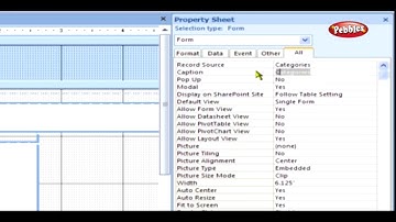 Enchancing the Look of a Form || Microsoft Access Tutorial for Beginners || ACCESS  Presentation