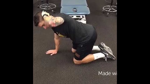 Modified quadruped thoracic mobility