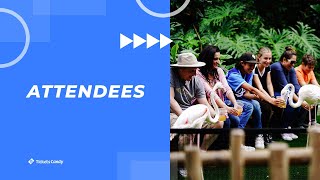 TicketsCandy: Attendees, Manage Attendees