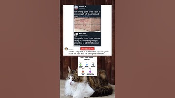 If it quacks like a duck #short #funny #memes