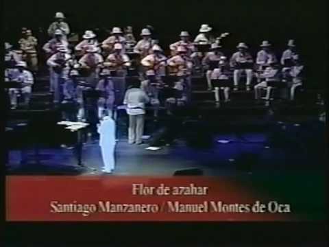 Santiago Manzanero / Manuel Montes de Oca - Flor d...