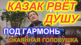 Окаянная головушка! Про жизнь!