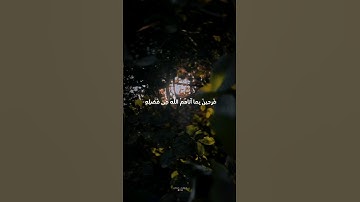 #قرآن_كريم #محمد_صديق_المنشاوي #الوطن_العربي #سورة_آل_عمران #quran #quran_kareem #islam #islamic