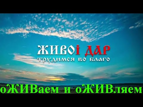 Video: Kapan plebs kembali?