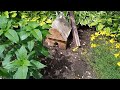 July Blooms and flowerbeds short tour 2023.