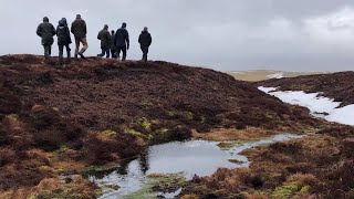 Research - Working with nature to reduce flooding - University of Leeds