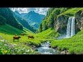 Музыка успокаивает нервную систему🌿Музыка лечит сердце, уменьшает беспокойство