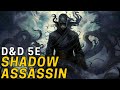The shadow assassin an insane damage ranger monk multiclass  dd 5e