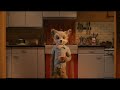 Fantastic Mr. Fox - Ash insults Kristofferson&#39;s Dad