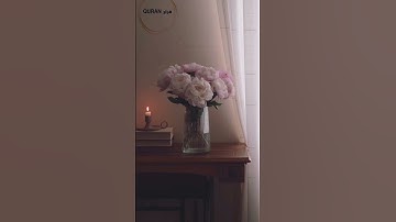 ﴿ إِنَّ الَّذِينَ آمَنُوا وَعَمِلُوا الصَّالِحَاتِ يَهْدِيهِمْ رَبُّهُم ﴾ يونس: 9 القارئ فارس  عباد