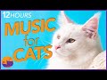 12 HOURS of Calming Sleep Music for Cats