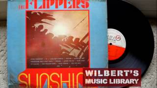 SUNSHINE (Instrumental version) - The Flippers chords