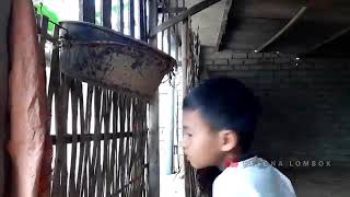 Maling telur ayam ehhh malah dapat tai sapi