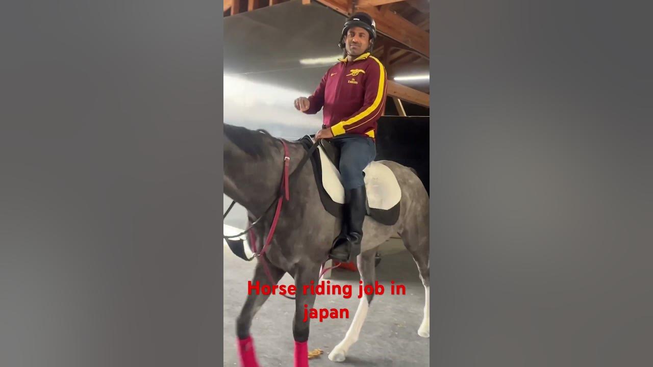 Horse riding job in japan indian japan horse horselover jra YouTube