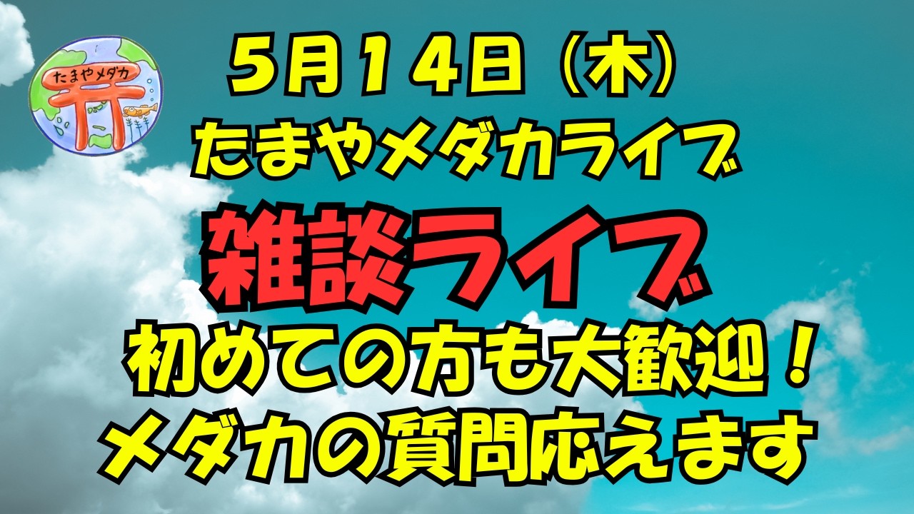 5月14日(木) 雑談ライブ