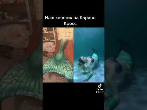 Наш хвостик на