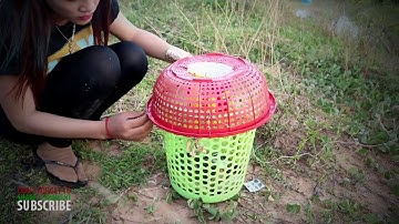 Creative Girl Make Fish Trap Using Plastic Bottle And Basket To Catch A Lot of Fish