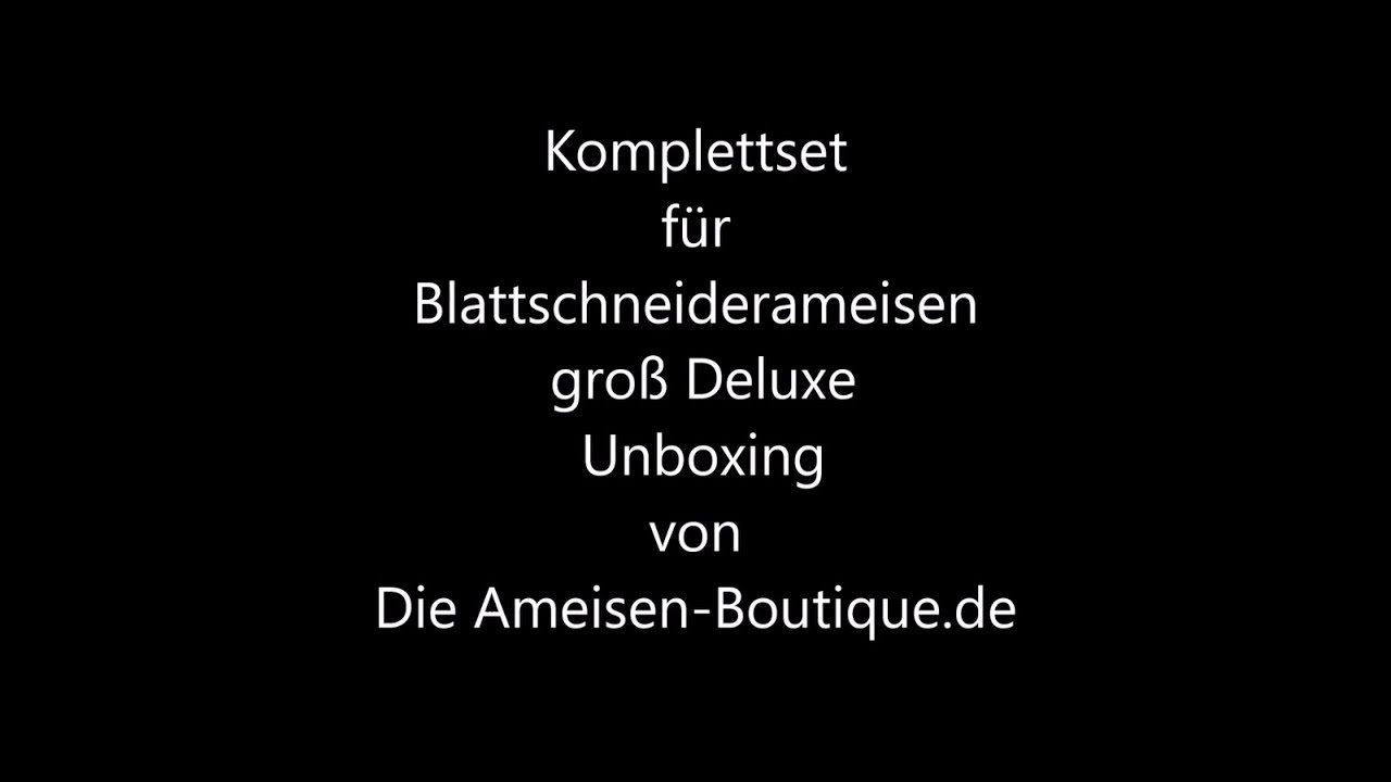 grüner star Komplettset für Blattschneiderameisen groß Deluxe - Unboxing - Die Ameisen-Boutique