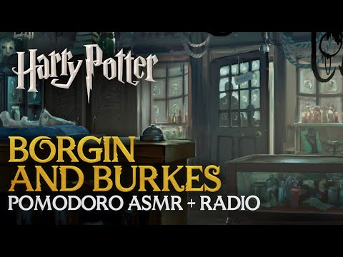 Study Session + Radio Story 📻🕯️BORGIN AND BURKES - Harry Potter Pomodoro Hogwarts ASMR Sounds