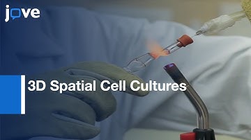 Synthesis Of Biocompatible Liquid Crystal Elastomer Foams As Cell Scaffolds l Protocol Preview