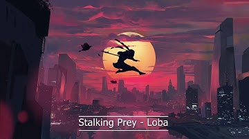 All Apex Legends Season 5 Loading Screens Lore (PAUSE TO READ)