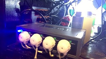 18 - Jebao DP-4 Dosing Pump : Program : Head Replacement : Review - EngineeringAquariums