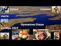 Охота Орловские Озера Октябрь Топар жирные утки