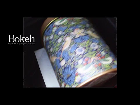 Bokeh / ぽんぽこ 【MV】