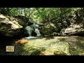 Relaxation-Nature Sounds, Sound of a small waterfall in the valley