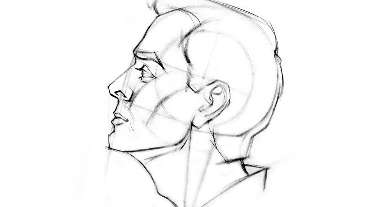 How to Draw the Head Side View YouTube