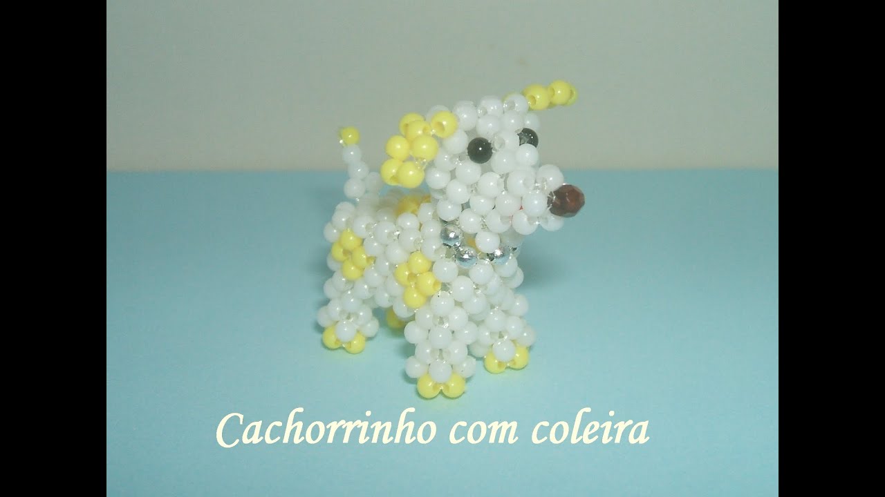 cachorrinho com coleira