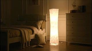 61'' Creative LED Floor Lamp with Dimmer Color Change,Brand LEONC Design