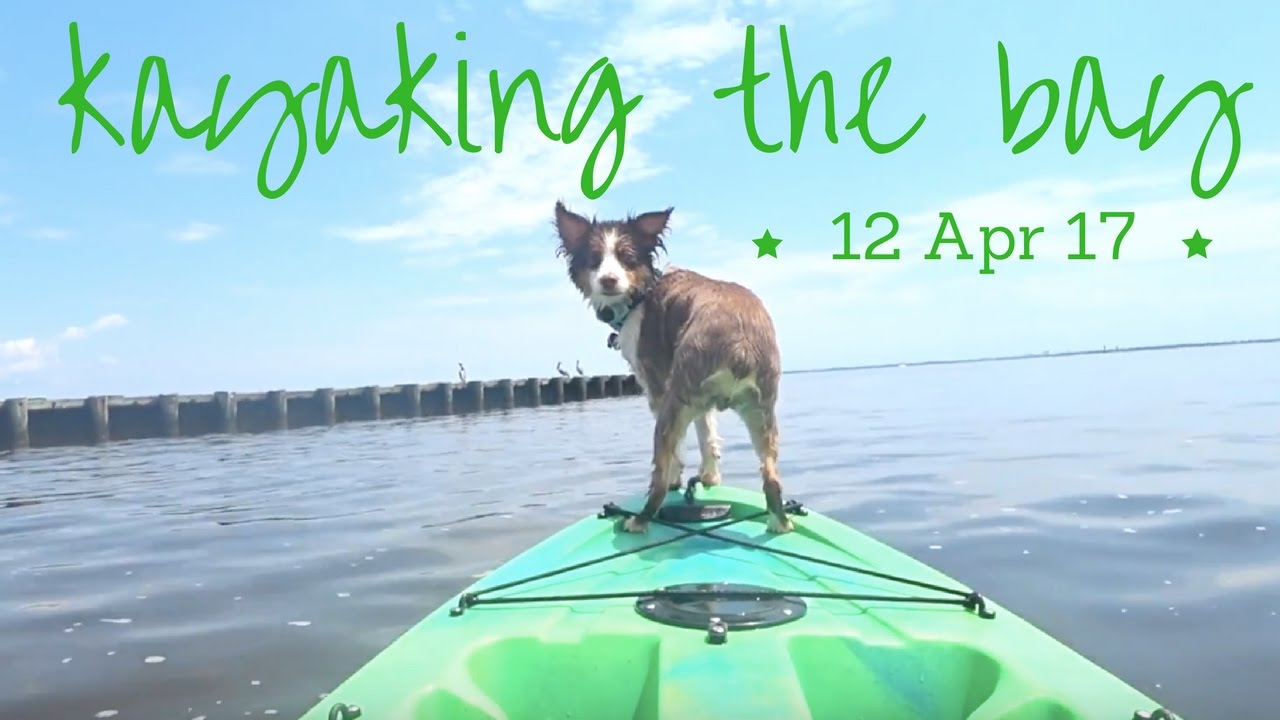 Kayaking Pensacola Bay 12 Apr 17 YouTube