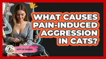 What Causes Pain-induced Aggression In Cats? - Happy Cat Handbook