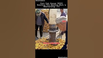 Corn Cob Hoover 9000! 🌽🌀 Mesmerizing Harvest Tech! #cornmachine #farmtech