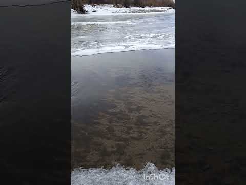 Вулканическое тепло Забайкалья (1).#россия,#вулкан,#shorts,#чиндалей,#вулканы,#термальныеисточники