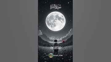 اكتب شيء تؤجر عليه 🤍🌸‎  #تلاوات #اكسبلور #عبدالرحمن_مسعد #سورة_البقرة  #quran #قرآن تريند