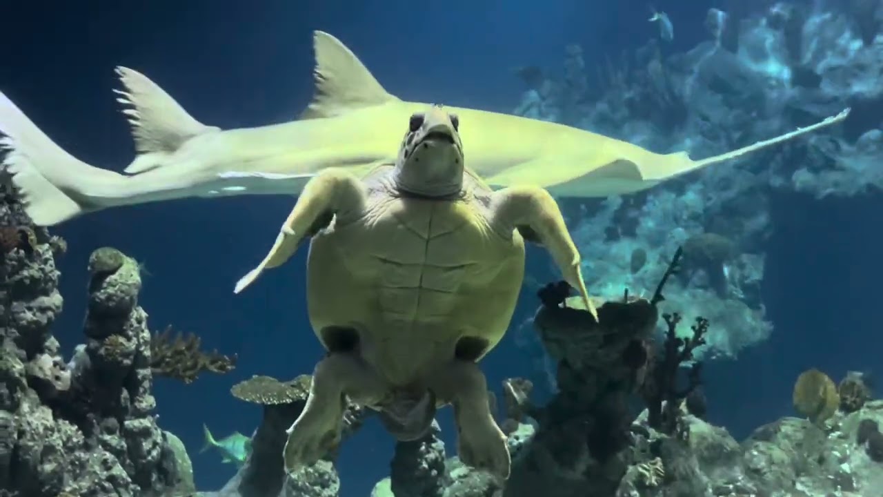 #motivationalmakaton