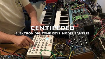 Centipeded - Retro Trippy Techno Jam with Elektron Digitone Keys and Model:Samples