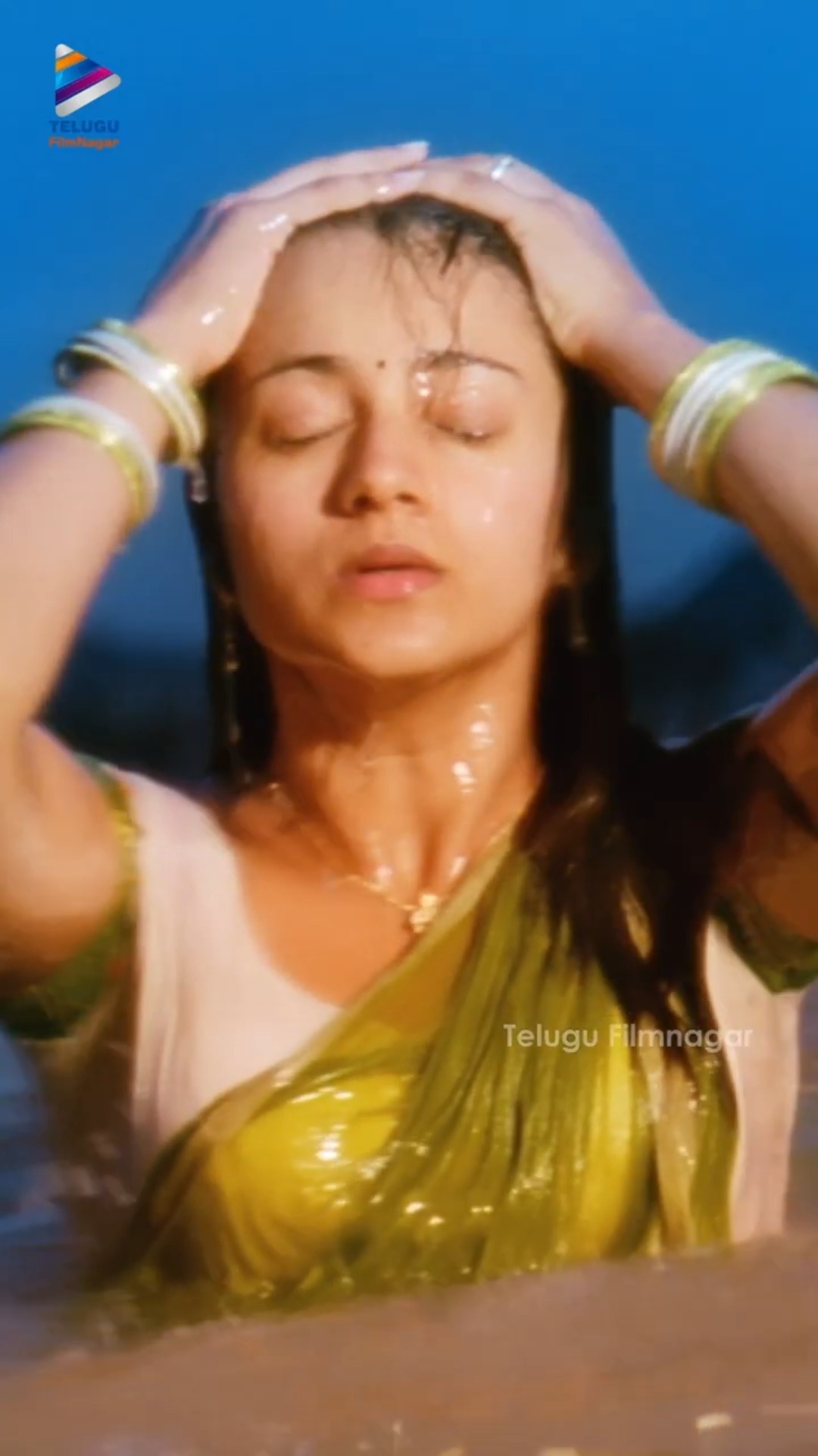 మతిపోగొట్టే త్రిష ఎంట్రీ సీన్ ? | #Trisha | #RaviTeja | #Krishna Movie Scenes | #Shorts | TFN