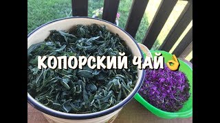 КОПОРСКИЙ ЧАЙ от ЕЛЕНЫ! ПРОВЕРЕННЫЙ РЕЦЕПТ! ЭТО ФАНТАСТИКА! КОПОРСКИЙ ЧАЙ от ЕЛЕНЫ! ПРОВЕРЕННЫЙ РЕЦЕПТ! ЭТО ФАНТАСТИКА!